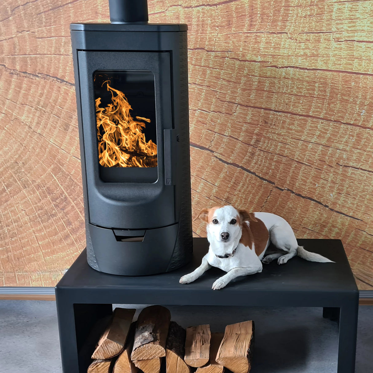 Τζάκι από χυτοσίδηρο σχεδιαστή Plamen Tara – ανεξάρτητα από τον αέρα του δωματίου