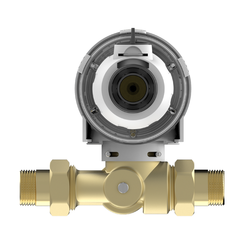 Huiswaterfilter terugspoelfilter AQMOS 1 inch met drukregelaar en manometer